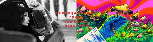 соль ск Абаза