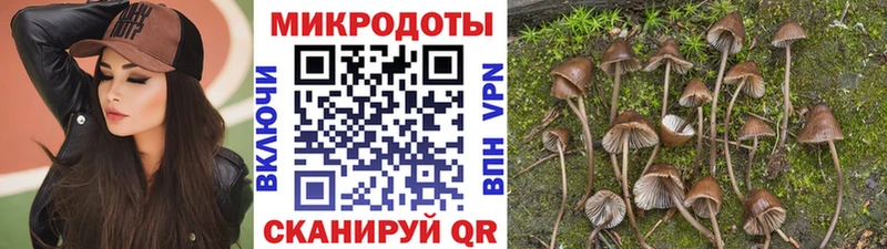 Псилоцибиновые грибы прущие грибы  хочу наркоту  ОМГ ОМГ зеркало  Сычёвка 